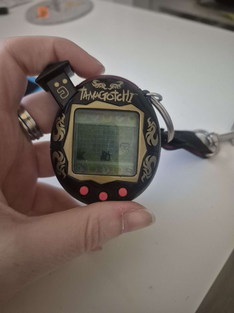 V5 Familitchi Ninja