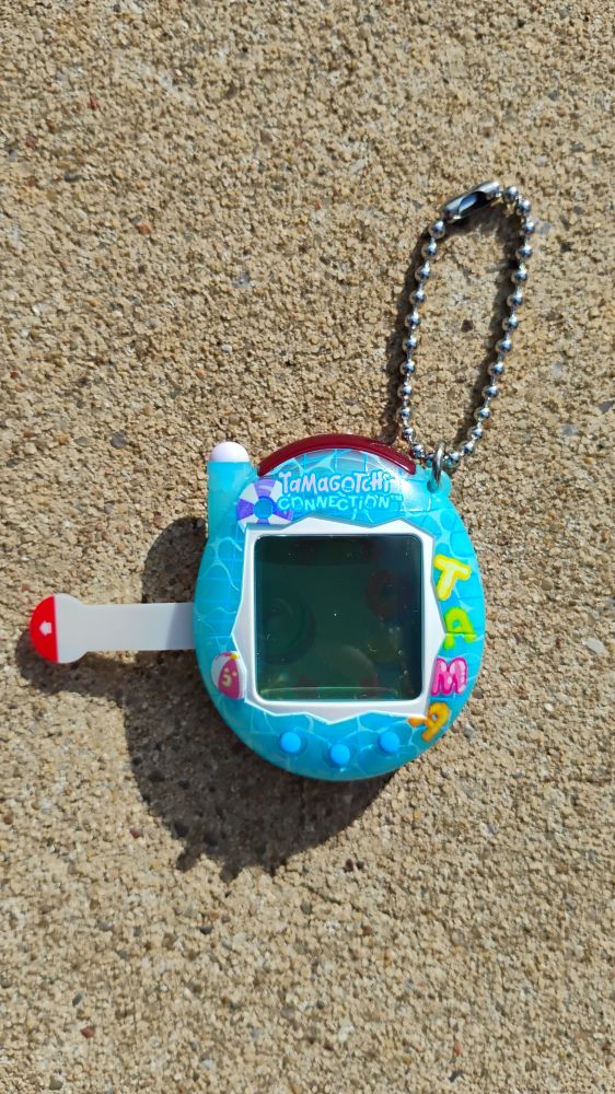Pool Connection